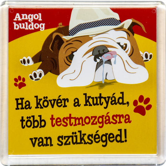 Angol Bulldog hűtőmágnes - w&w