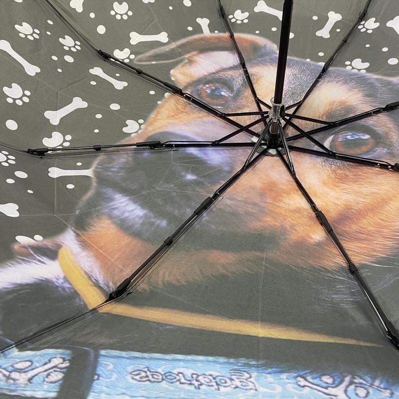 Pinscher kutyás esernyő